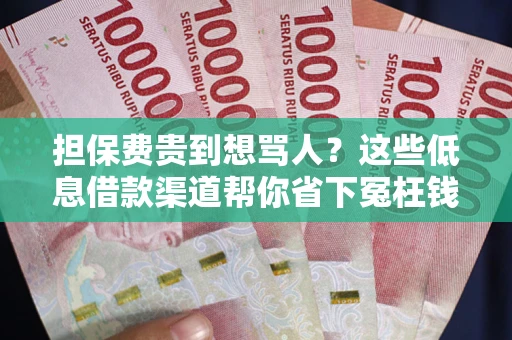 北京担保费贵到想骂人？这些低息借款渠道帮你省下冤枉钱