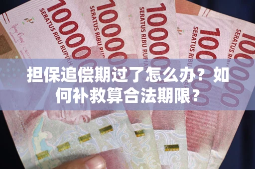 北京担保追偿期过了怎么办？如何补救算合法期限？