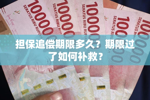 北京担保追偿期限多久？期限过了如何补救？