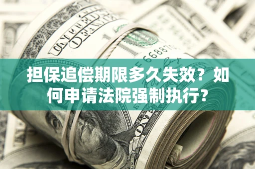 北京担保追偿期限多久失效？如何申请法院强制执行？