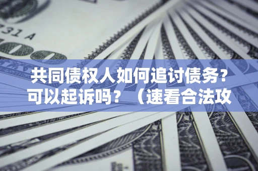 北京共同债权人如何追讨债务？可以起诉吗？（速看合法攻略）