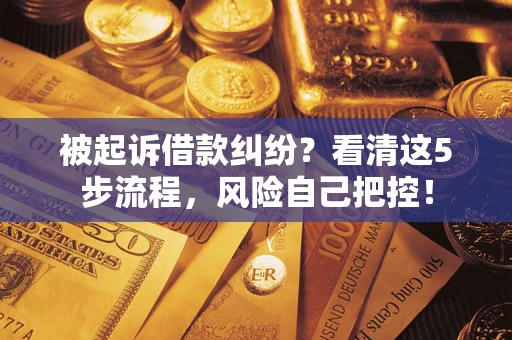 北京被起诉借款纠纷？看清这5步流程，风险自己把控！