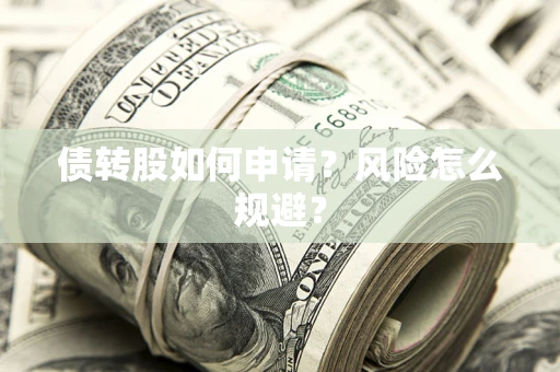 北京债转股如何申请？风险怎么规避？